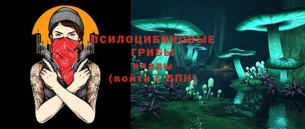 тгк Белокуриха