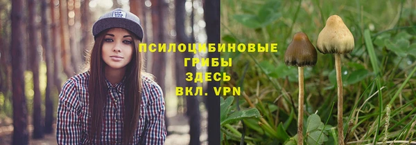 mdpv Белоозёрский