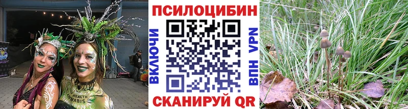 Псилоцибиновые грибы MAGIC MUSHROOMS  Купить где  Корсаков 